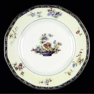 Theodore haviland 9 5/8 dinner plate montreux pattern